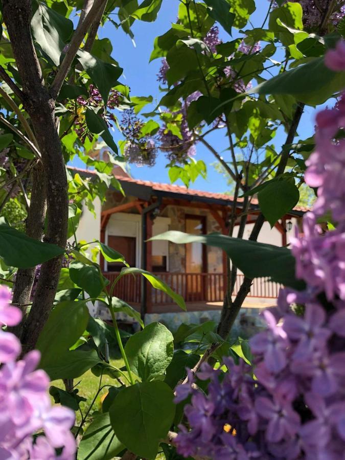 Karali Apartments Лагадин Экстерьер фото